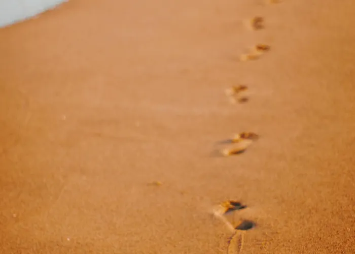 Avec Terrasse Proche - Fr-1-652-49 Appartement *